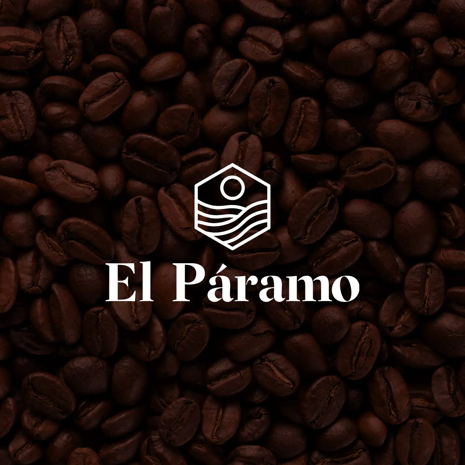 Logo El Paramo 04